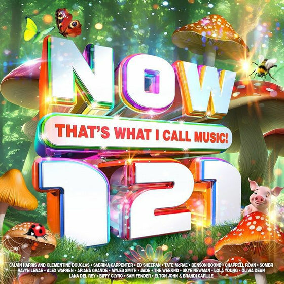 Various Artists - Now That's What I Call Music 121