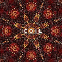  Coil - Stolen & Contaminated Songs