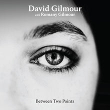  David Gilmour - Between Two Points Remixes (RSD 2025)