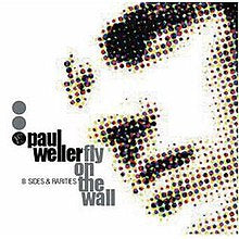 Paul Weller - Fly On The Wall