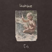  Wunderhorse - Cub