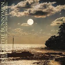  Echo & The Bunnymen - Killing Moon (BF2024)