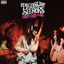  The Pleasure Seekers - What A Way To Die