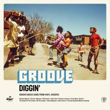  Various Artists - Groove Diggin