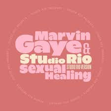 Marving Gaye & Studio Rio - Sexual Healing