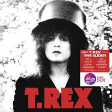  T-Rex - The slider (NAD24)