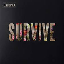 Lewis Capaldi - Survive
