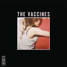  The Vaccines - What Did You Expect From (NAD25)