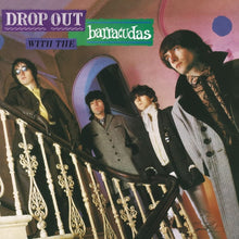  Barracudas ‎– Drop Out With The Barracudas