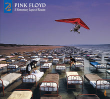 Pink Floyd - A Momentary  Lapse Of Reason (Remixed & updated)