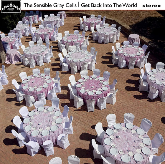 Sensible Gray Cells - Get Back Into The World REDUCED