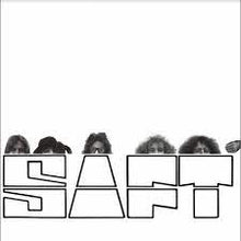  Saft - SAFT