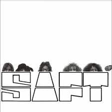 Saft - SAFT