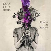  Goo Goo Dolls - Chaos in Bloom