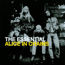  Alice In Chains - The Essential