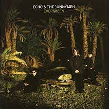  Echo & The Bunnymen -  Evergreen